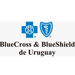 Logo Blue Cross & BlueShield